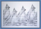 Nr.76/Segelregatta-I